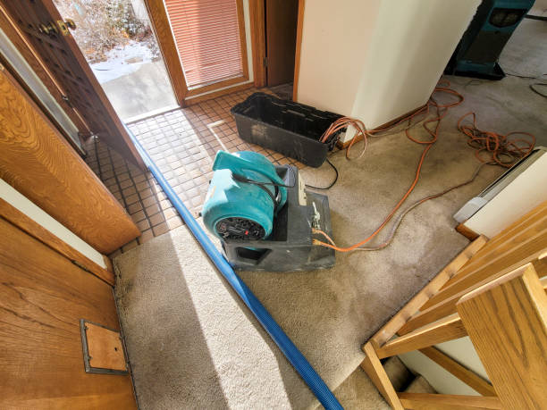 Best Commercial water damage restoration  in Prospect, PA