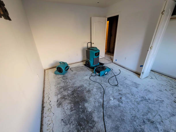 Best Sewage cleanup and water damage restoration  in Prospect, PA