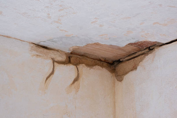Best Local water damage restoration  in Prospect, PA