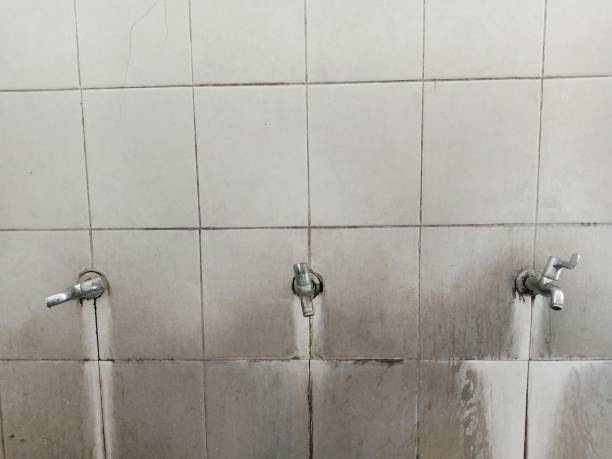 Best Professional water damage repair  in Prospect, PA