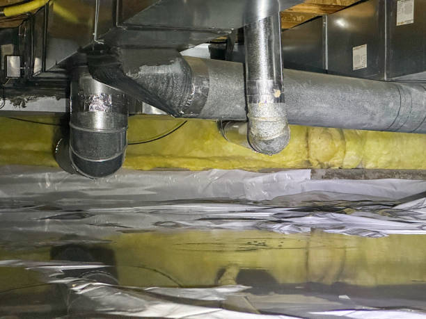 Best Flood restoration services  in Prospect, PA