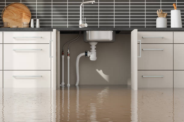 Best Water damage contractors near me  in Prospect, PA