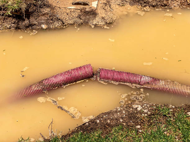 Best Water damage restoration near me  in Prospect, PA