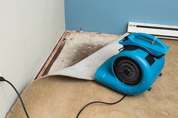 Best Residential water damage restoration  in Prospect, PA